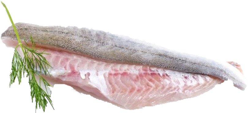 Filet de grondin rouge avec peau +/-500gr - 1kg