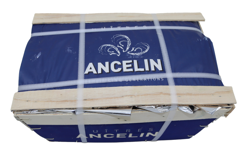 Huîtres Fines de Claires - Huitre Ancelin n°2 24pc