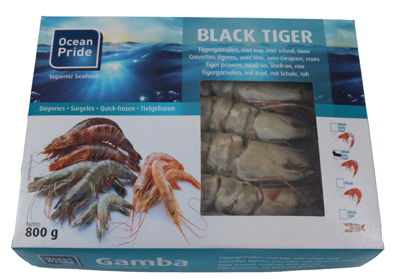 Gamba 8/12 BT SPLIT 1kg FROZEN
