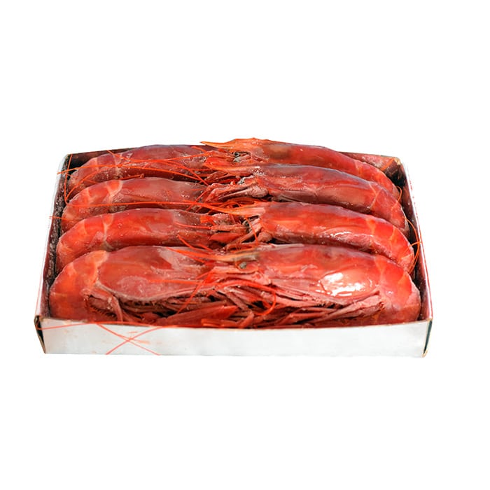 Carabineros marruecos 10/11 1kg