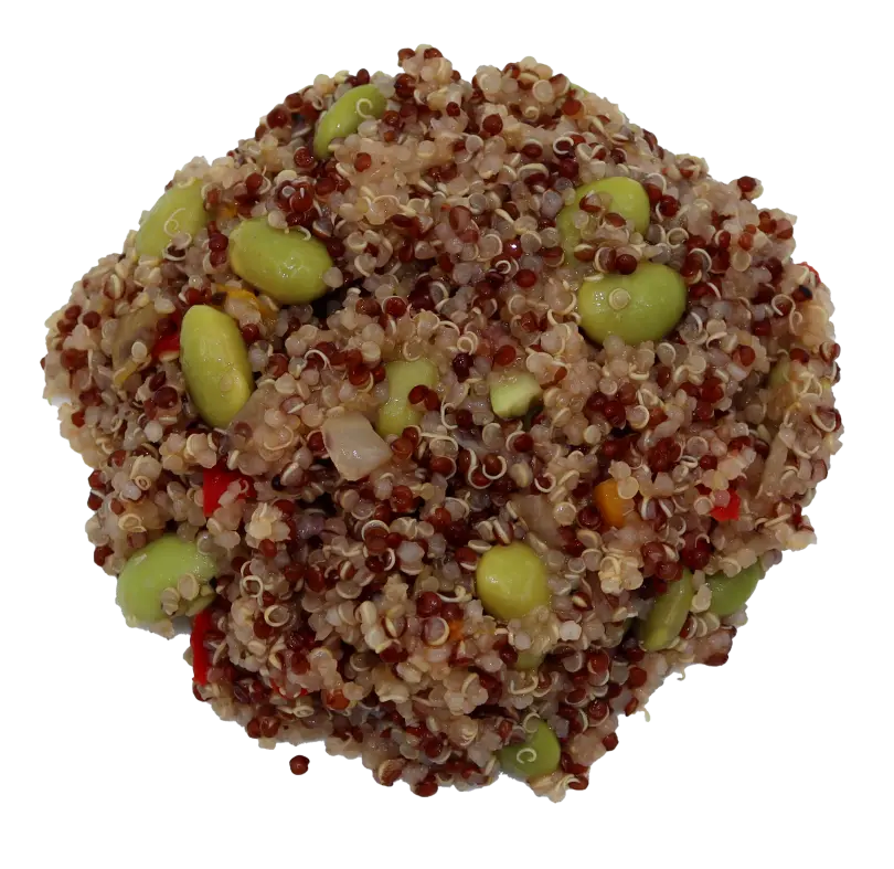 Salade algues Edamame Quinoa 1kg SURGELÉ