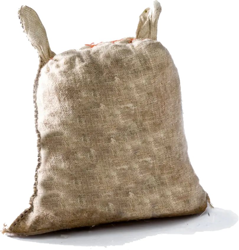 Moules Zélandaises Imperial 55-65/kg - Sac de 15kg MOULICIOUS