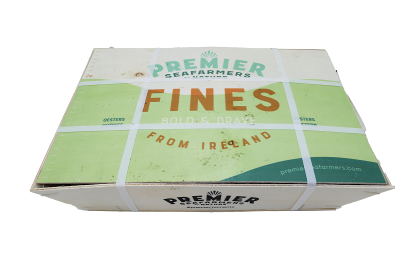 Huitres Irish 'fines' 4*48pc