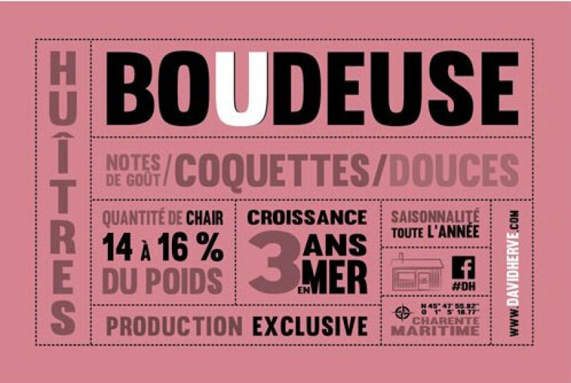 Huitre David Hervé "Boudeuse" no4 48pc