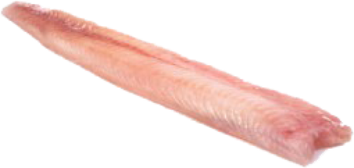 Dos de Lingue sans peau 600+ FRAIS 1kg 