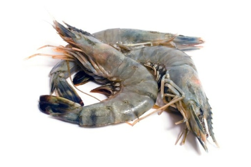 Gamba WILDCATCH 4/6 1kg SURGELE 