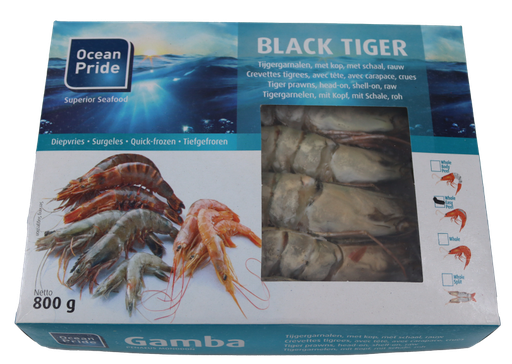 Gamba 8/12 BT SPLIT 1kg FROZEN