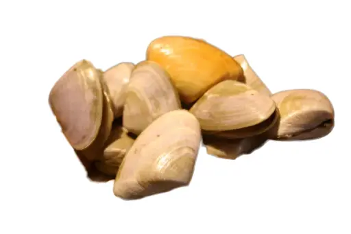 Vernis 1kg (Fasolari)( 9 à 15/ kg )