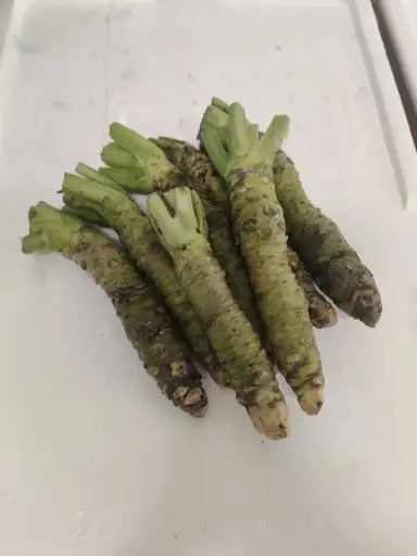 Racine de Wasabi 1kg FRAIS