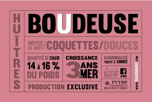 Huitre David Hervé "Boudeuse" no4 48pc